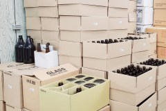 Beer Bottles and Growlers
