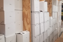 Wine Bottles