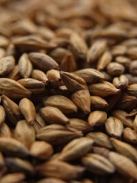 Amber Malt