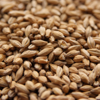 Weyermann® Floor-Malted Bohemian Pilsner