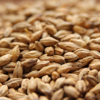 Weyermann® Beech Smoked