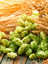 Brewing Ingredients