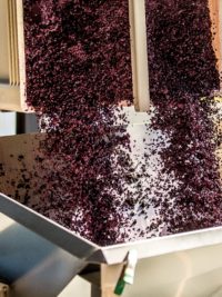 Wine Ingredients