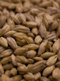 Simpsons Peated Malt