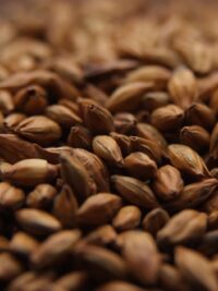 Crisp Brown Malt