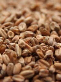 Weyermann® Dark Wheat
