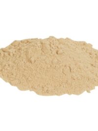 Lallemand | Go-Ferm Protect | Yeast Rehydration Nutrient